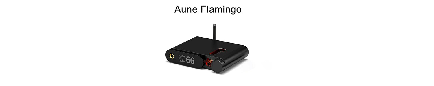 Aune Flamingo: Latest Wireless Bluetooth USB DAC & Tube Headphone Amplifier