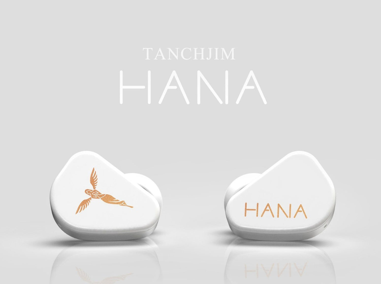 Tanchjim Hana Latest Stainless Steel Earphones Released