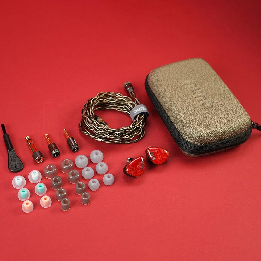 DUNU DN242 2DD+4BA+2 Micro Planar Drivers IEMs DUNU