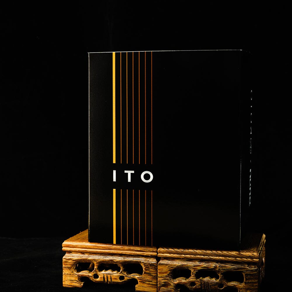 DUNU x KOTO ITO 2DD+2BA Hybrid Drivers IEMs HiFiGo