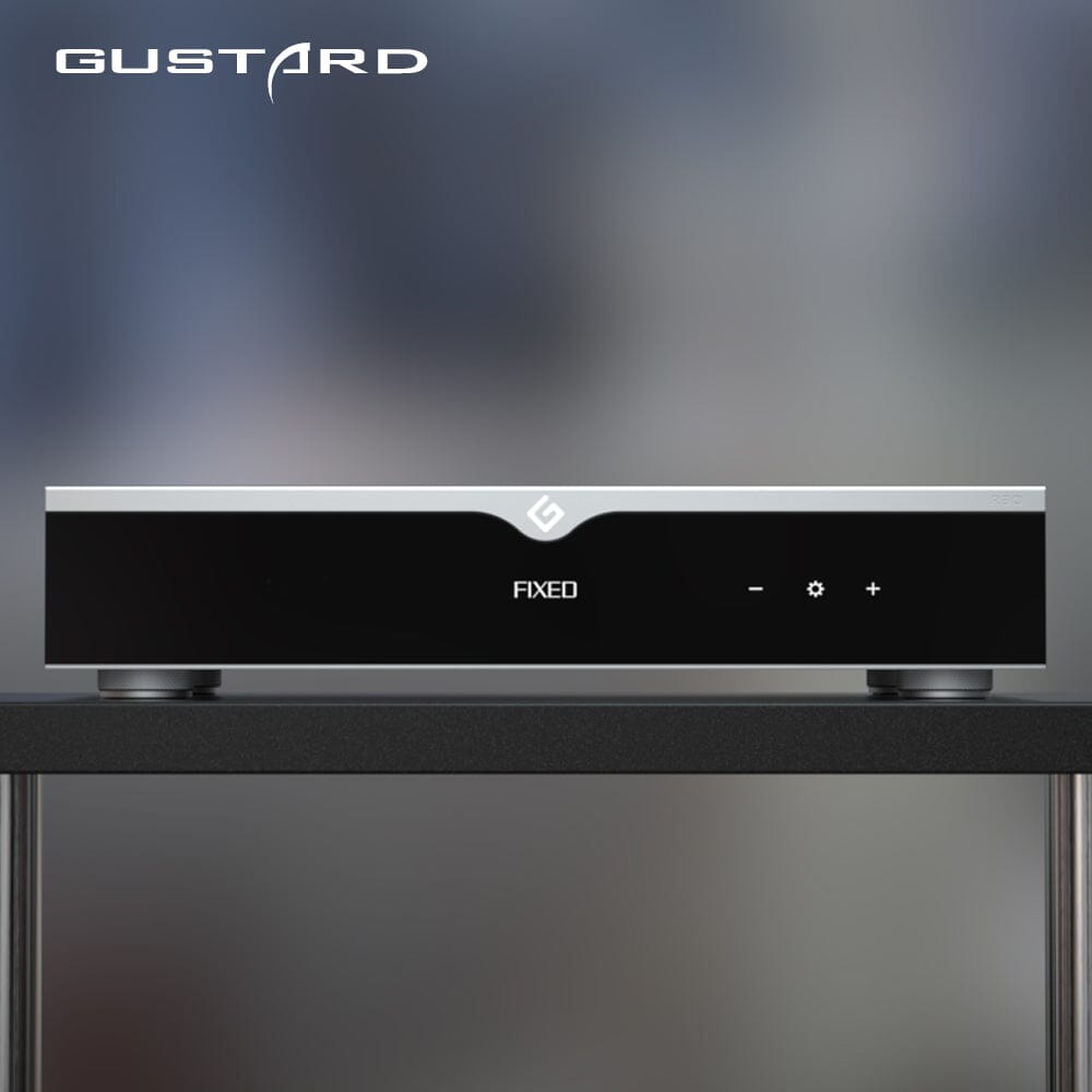 GUSTARD R30 Fully Discrete R2R Streaming DAC HiFiGo