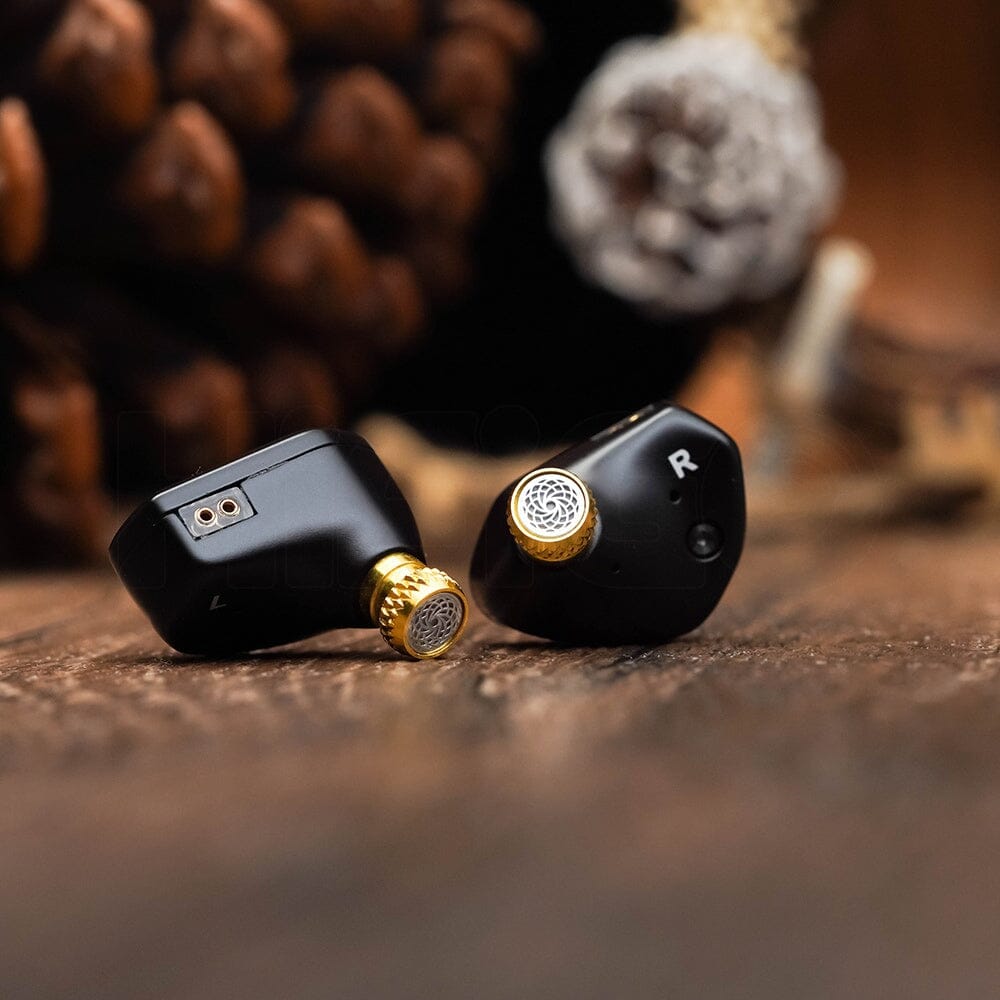 KEFINE Klean 10mm DLC Diaphragm Dynamic Driver IEM HiFiGo