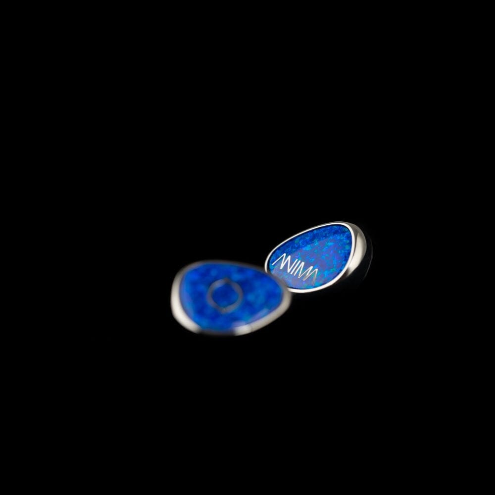 Lime Ears ANIMA V2 1DD+10BA Hybrid Drivers In-Ear Earphone HiFiGo