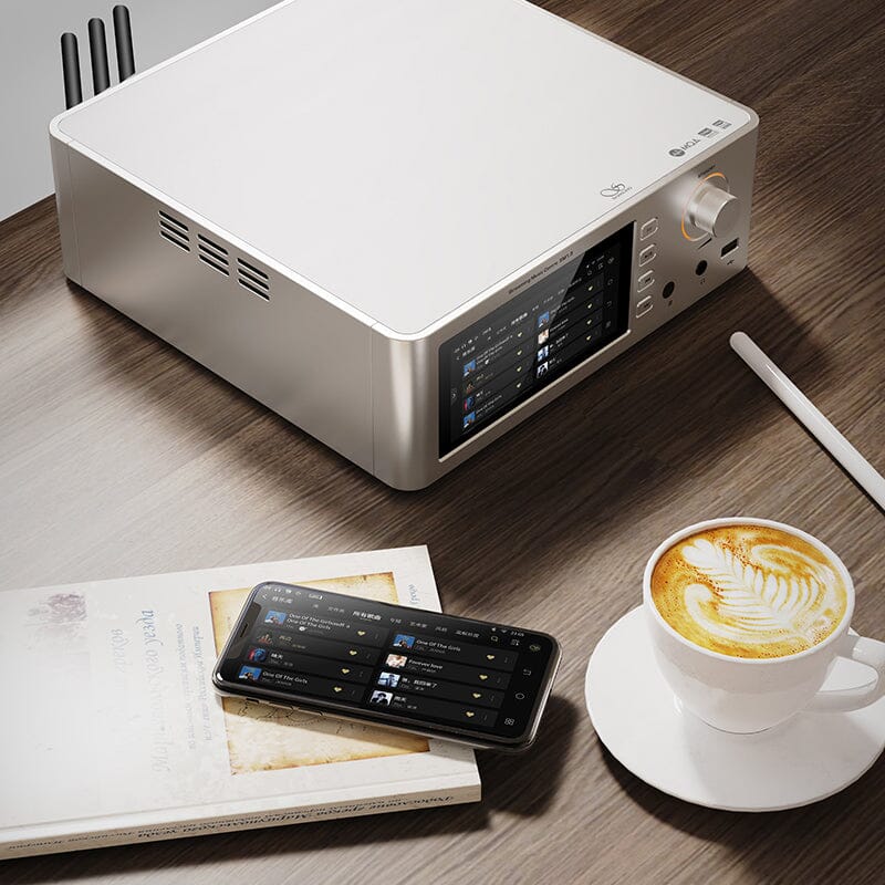 SMSL SM1.3 AK4191EQ+AK4499EX Music Streamer HiFiGo