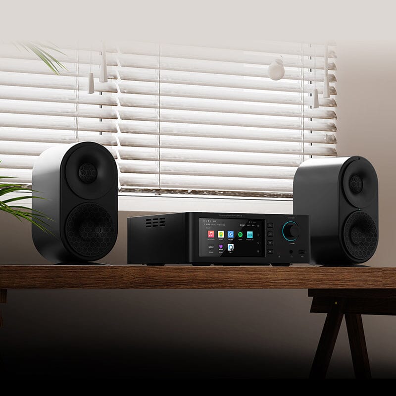 SMSL SM1.3 AK4191EQ+AK4499EX Music Streamer HiFiGo