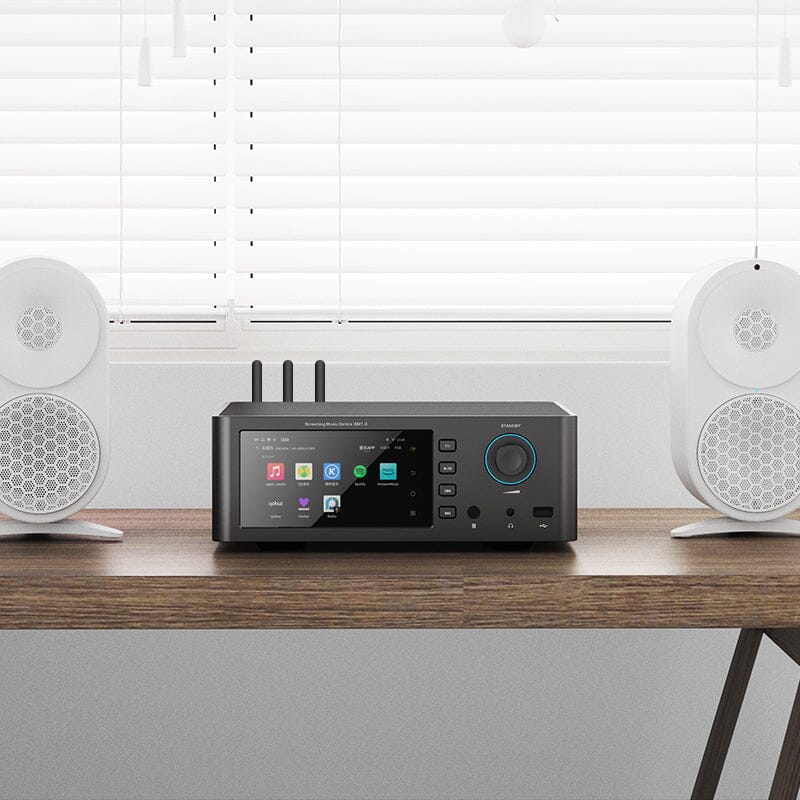 SMSL SM1.3 AK4191EQ+AK4499EX Music Streamer HiFiGo