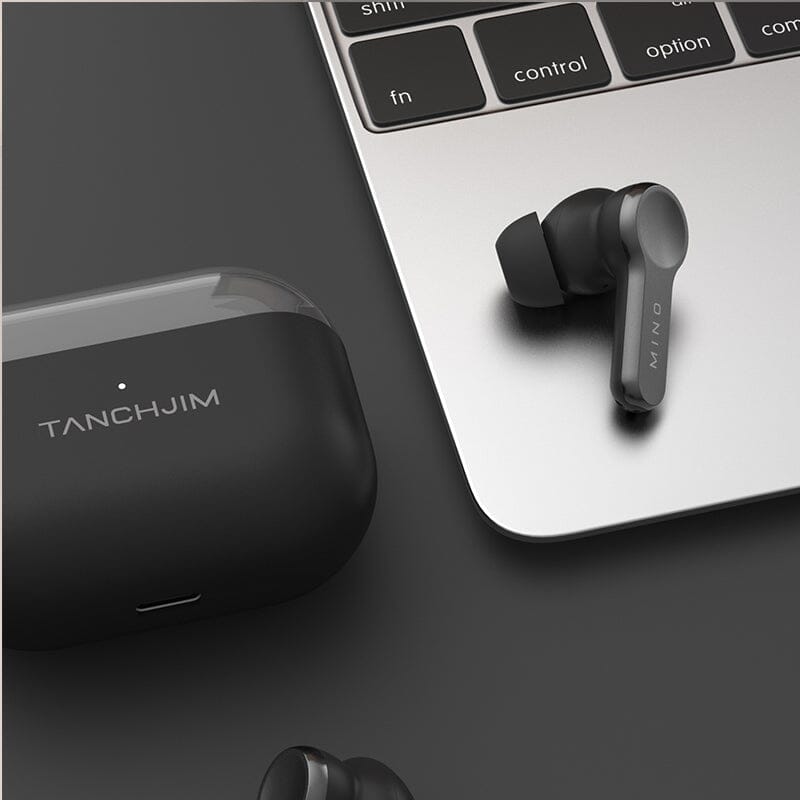 TANCHJIM MINO Flagship 10mm Hybrid Drivers HiFi Bluetooth 5.3 In-Ear Earphones HiFiGo MINO Black