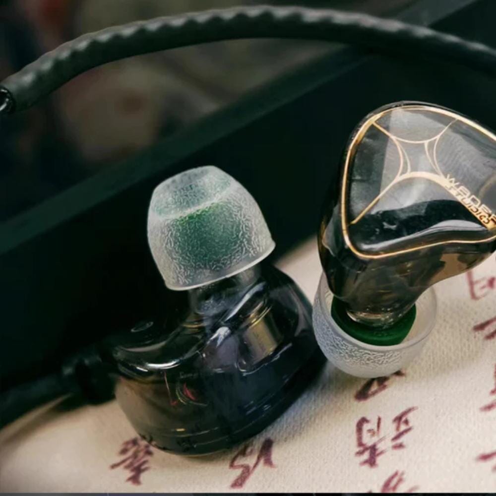 TANGZU Waner SE 10mm Dual Dynamic Driver In-Ear Earphones HiFiGo