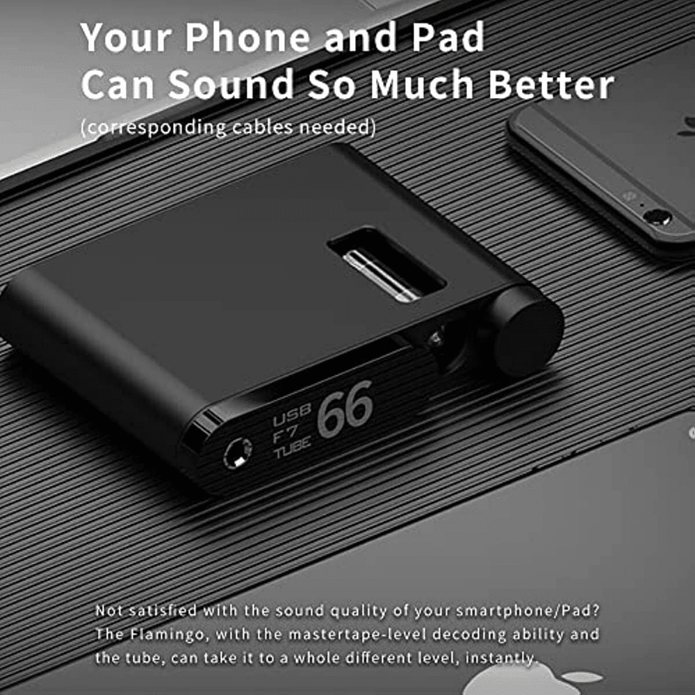 AUNE Flamingo Bluetooth / BD Tube DAC & Headphone Amplifier Headphone AMP DAC HiFiGo