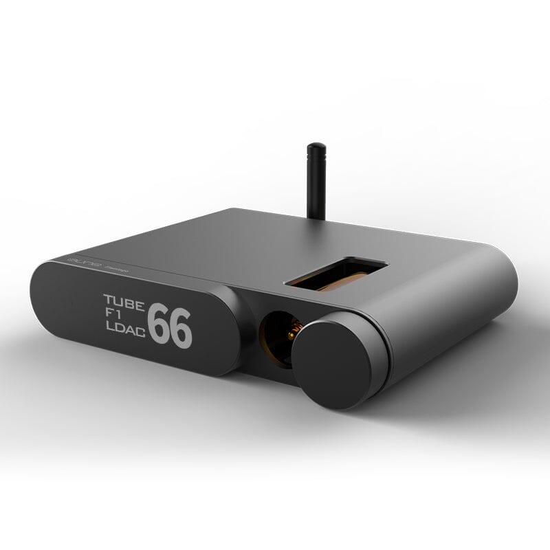 AUNE Flamingo Bluetooth / BD Tube DAC & Headphone Amplifier Headphone AMP DAC HiFiGo Flamingo BD Version Withou Remote Control