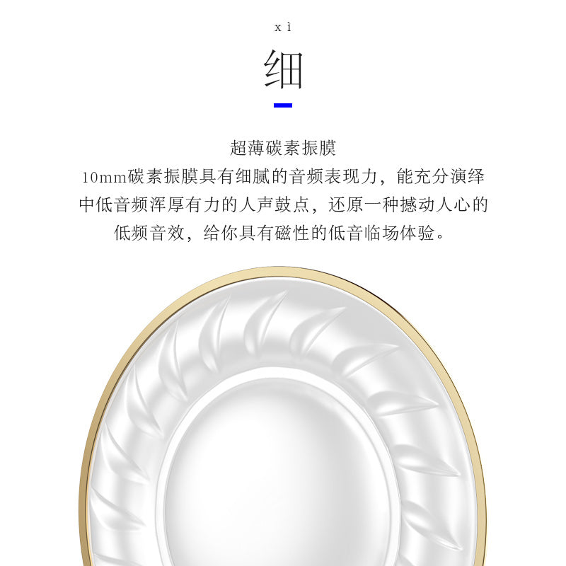 BLON Z200 HiFi 10mm Carbon Diaphragm Driver In-Ear Earphones HiFiGo