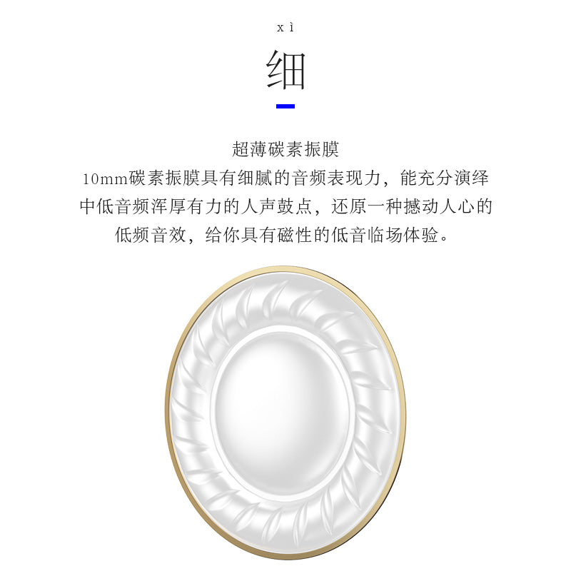 BLON Z200 HiFi 10mm Carbon Diaphragm Driver In-Ear Earphones HiFiGo