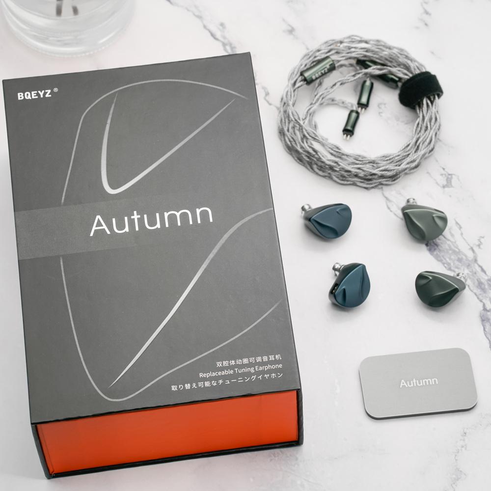 BQEYZ Autumn Dual Cavity Dynamic Replaceable Tuning HiFi Earphone Earphone HiFiGo