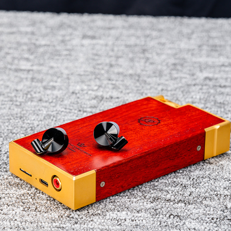 DUNU Zen Flagship IEM Earphone HiFiGo