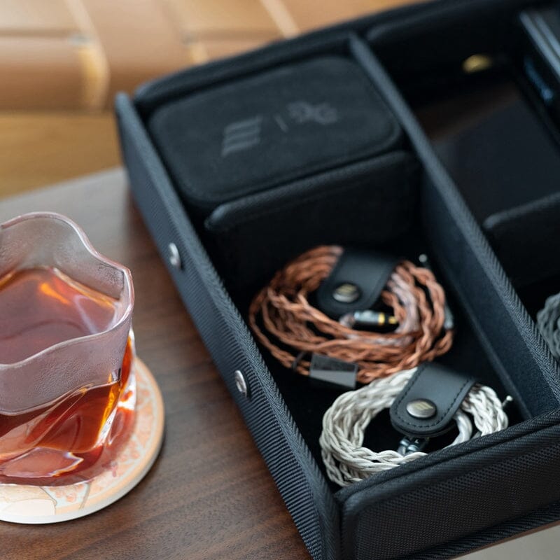 Effect Audio Chamber Carrying Case HiFiGo