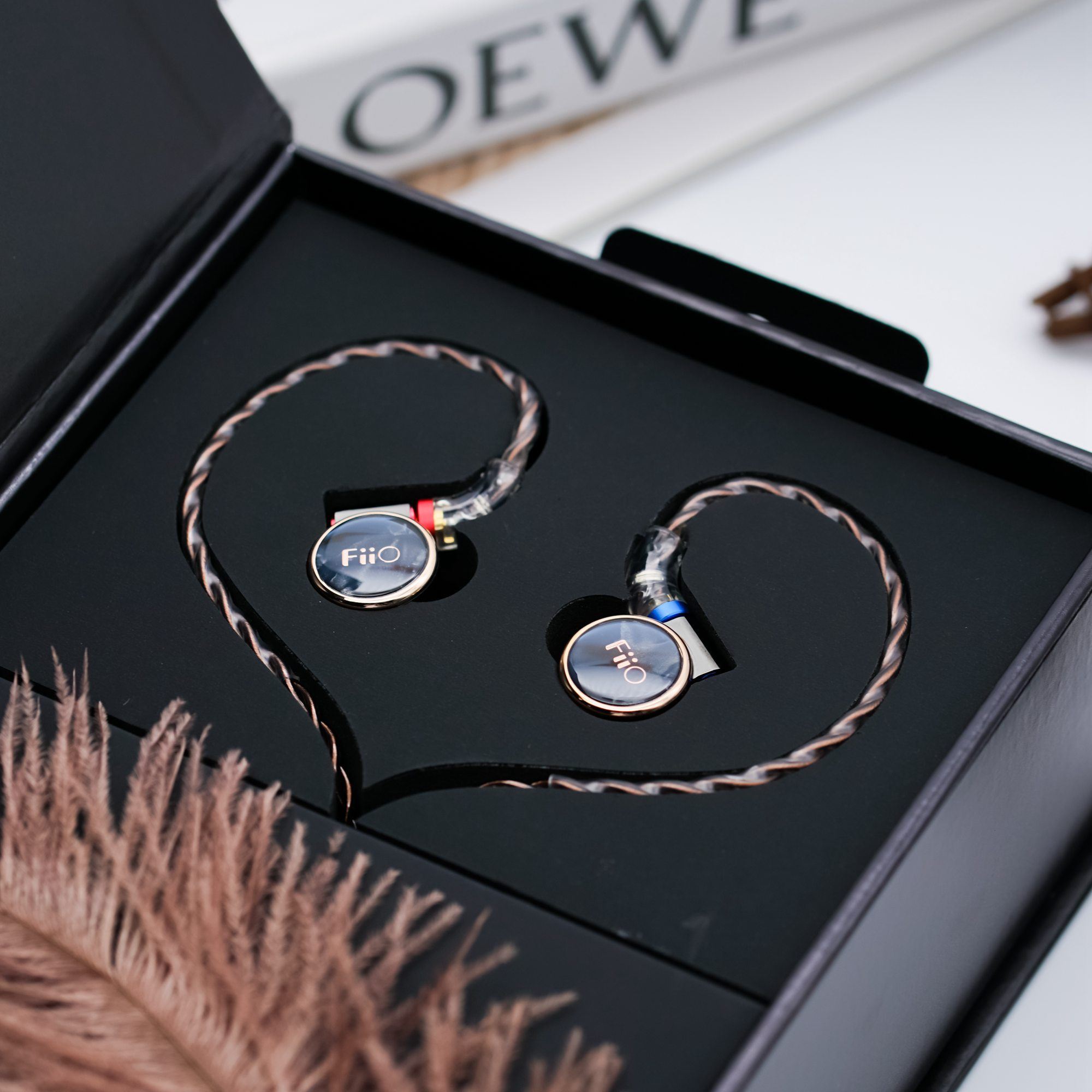 Fiio FD3 FD3 Pro DLC Diaphragm Dynamic Driver IEMs HiFiGo