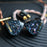 Pre-Order Elysian Acoustic Labs DIVA 2023 6 BA Drivers In-Ear Monitors Earphone HiFiGo 
