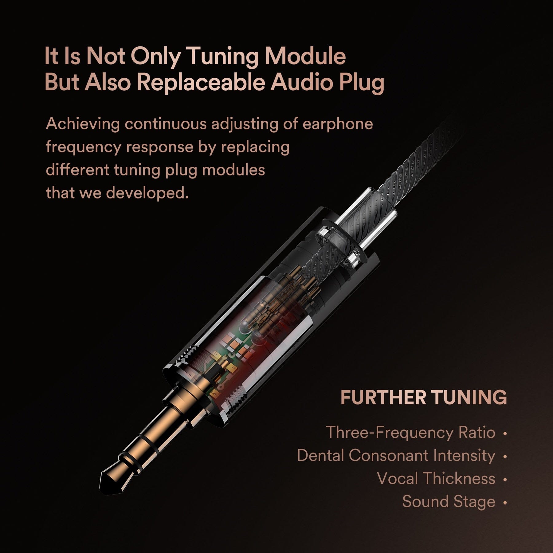 SIMGOT EN1000 Diaphragm Dual-cavity Dynamic IEMs Earphones Wired With Tuning Plugs 0.78mm Detachable Cable Earphone HiFiGo