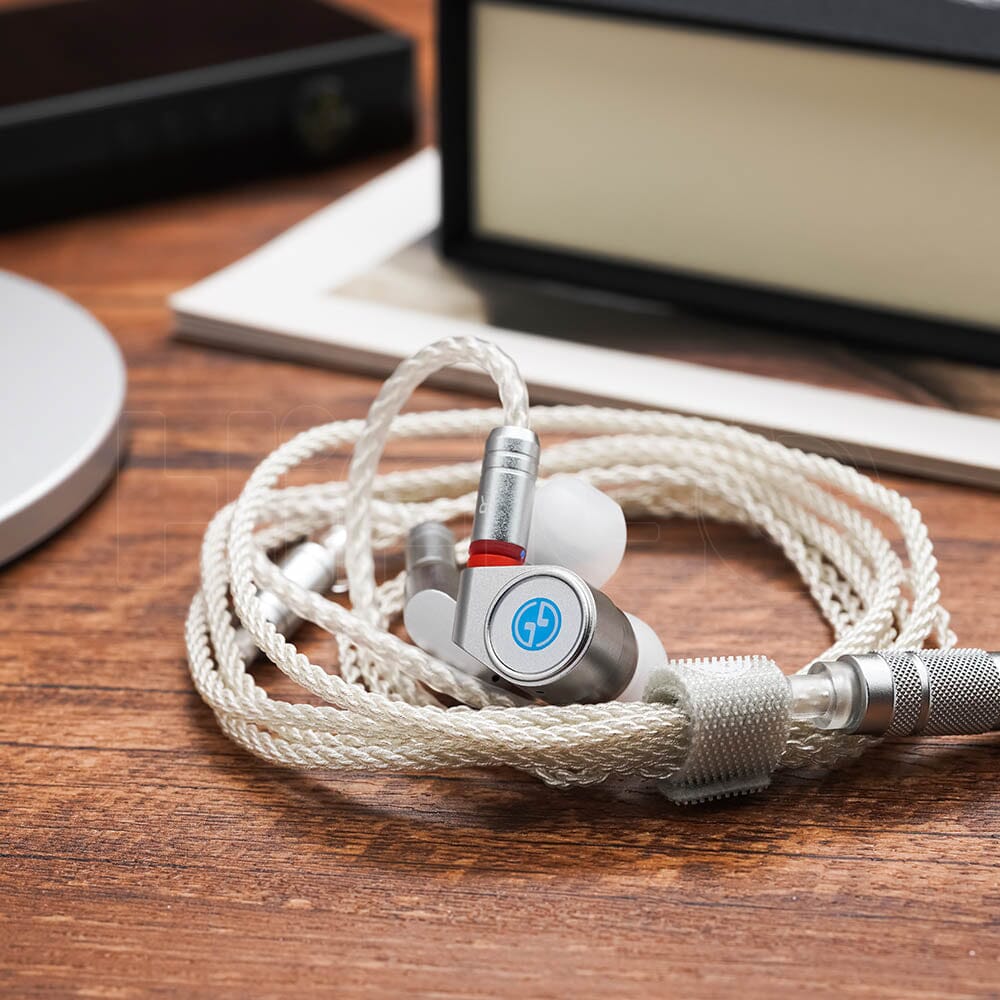 TINHiFi T2 DLC 2022 Version Flagship 10MM Dynamic Circle In-Ear Monitors HiFiGo