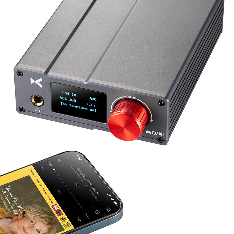 xDuoo DA-100 HD Bluetooth Power Amplifier HiFiGo