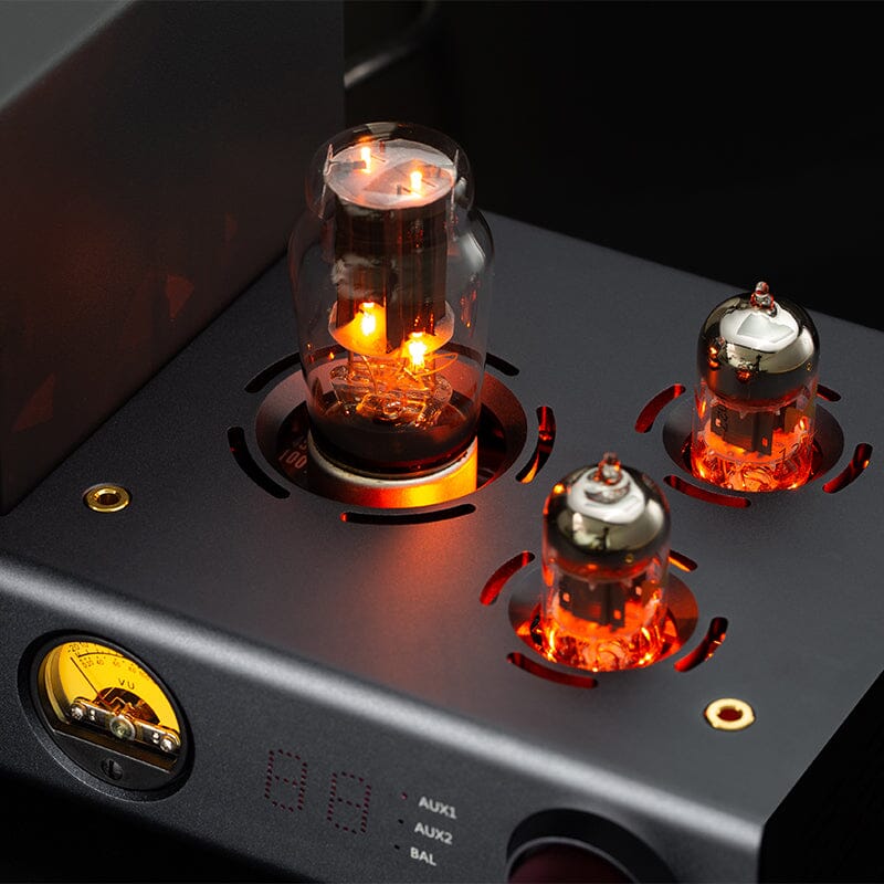 xDuoo TA20 Plus Balanced Double Tube Class A Headphone Amplifier HiFiGo