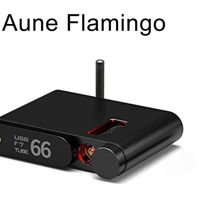 Aune Flamingo: Latest Wireless Bluetooth USB DAC & Tube Headphone Amplifier