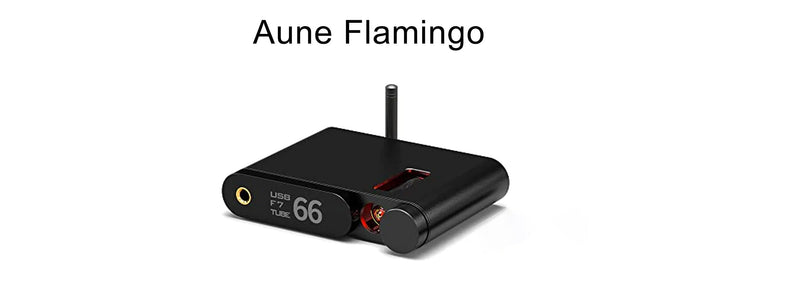 Aune Flamingo: Latest Wireless Bluetooth USB DAC & Tube Headphone Amplifier