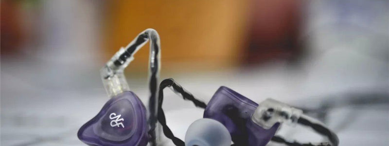 NF Audio NA 2 Quick Review: Dynamic Sound Output!!