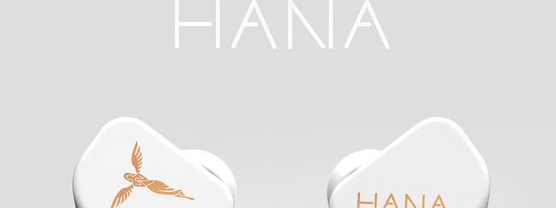 Tanchjim Hana Latest Stainless Steel Earphones Released
