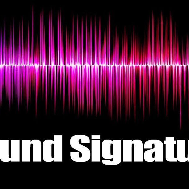 What is a Sound Signature?