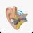 BGVP DMA 1DD + 2BA + 2BCD Hybrid Bone Conduction In-Ear Earphone HiFiGo 