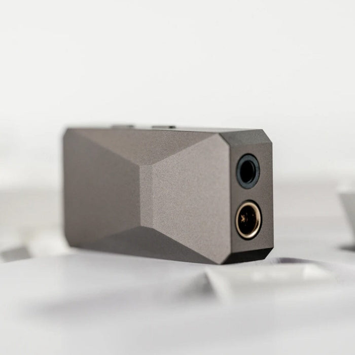 DUNU DTC480 Flagship Dual CS43198 Portable DAC& — HiFiGo