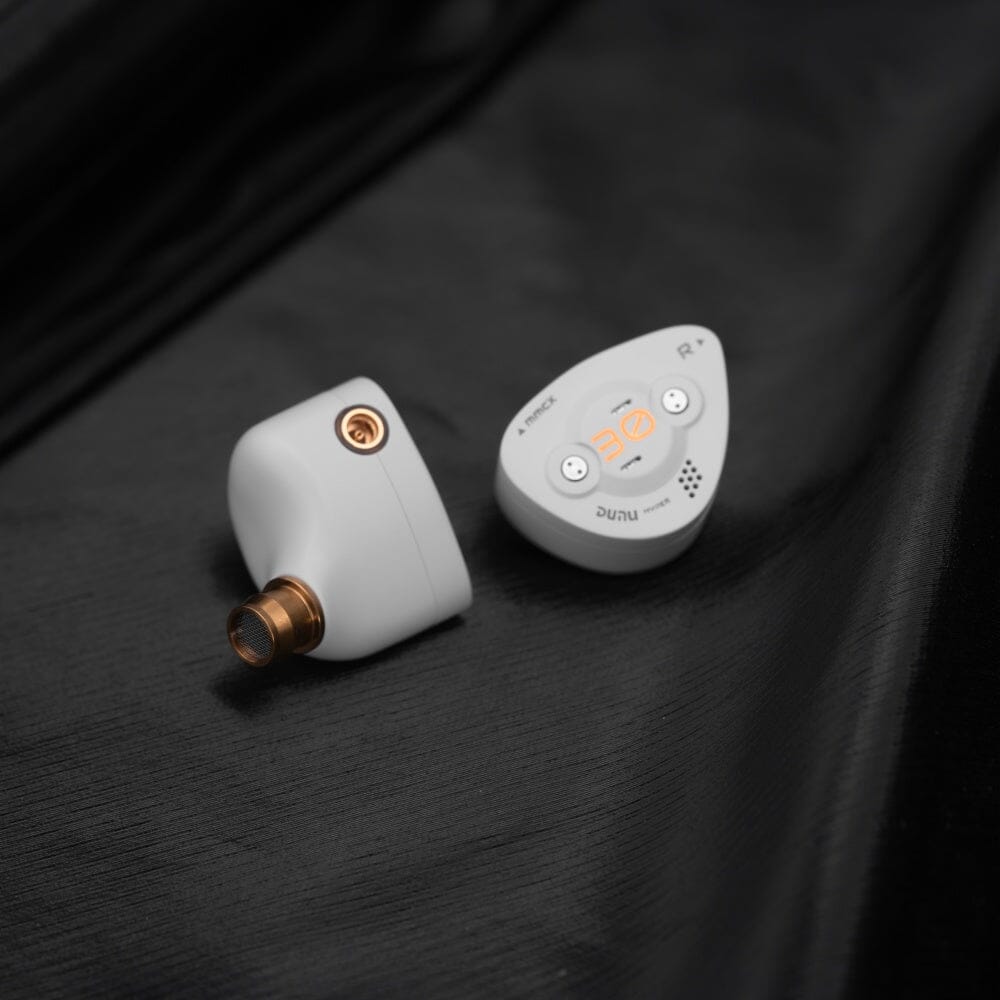 DUNU x Effect Audio DK3001BD Limited Edition 1DD+4BA+4Micro Planar Drivers IEMs DUNU 