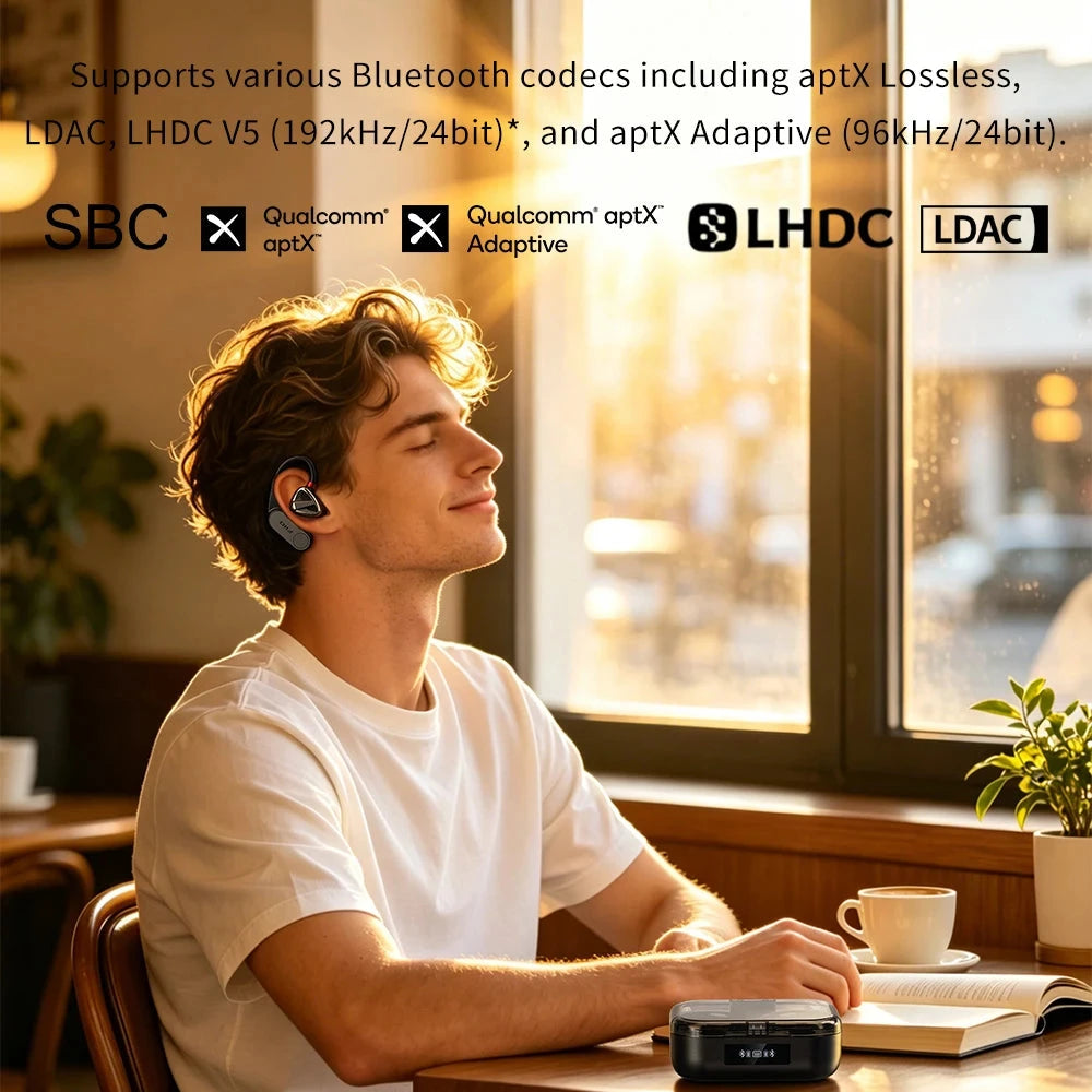 FiiO LINK TWS (UTWS17) True Wireless Bluetooth 6.0 Ear Hooks FiiO 