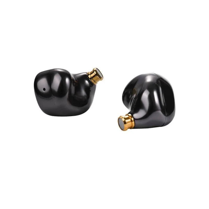 FTE CVA Earphone hifigo 