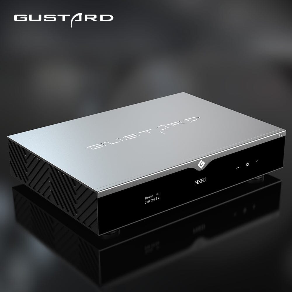 GUSTARD R30 Fully Discrete R2R Streaming DAC HiFiGo 