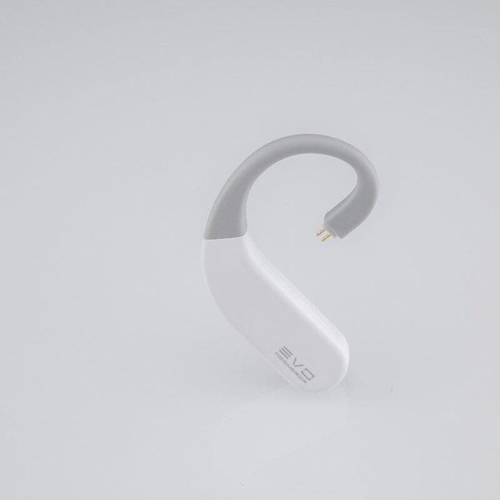 Moondrop EVO HiFi True Wireless Bluetooth Ear-Hook HiFiGo 