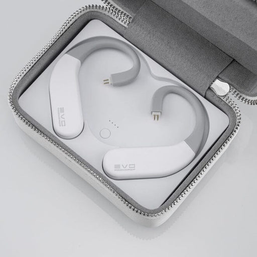 Open Box Moondrop EVO HiFi True Wireless Bluetooth Ear-Hook HiFiGo 