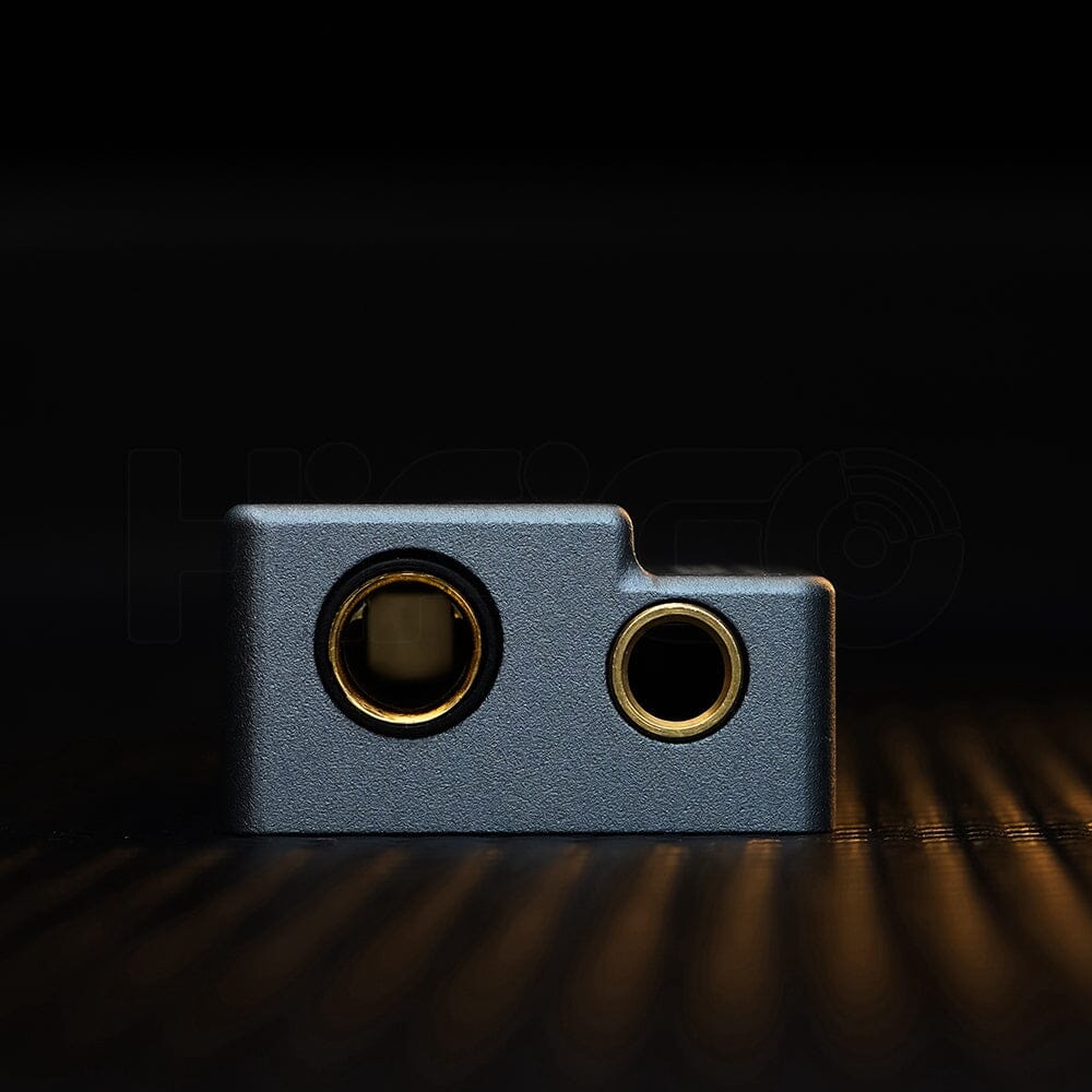 ROSESELSA RS9039 / RS 9039 All-New ES9039Q2M DSD256 DAC / Headphone AMP HiFiGo 