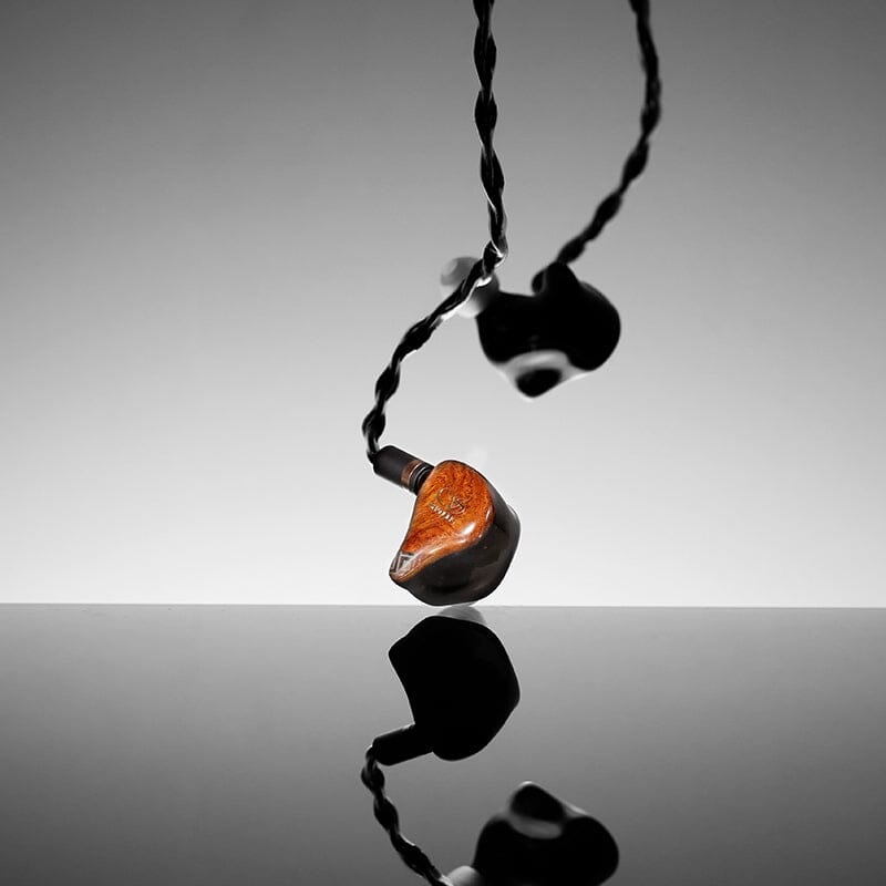 SHANLING Majestic 2DD + 6 BA + 4EST HiFi In-Ear Monitors HiFiGo 