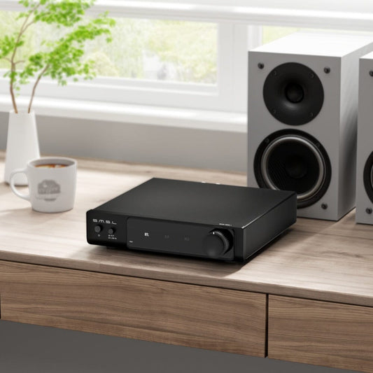 SMSL RAW-MHA1 Digital High Power Amplifier S.M.S.L RAW-MHA1 