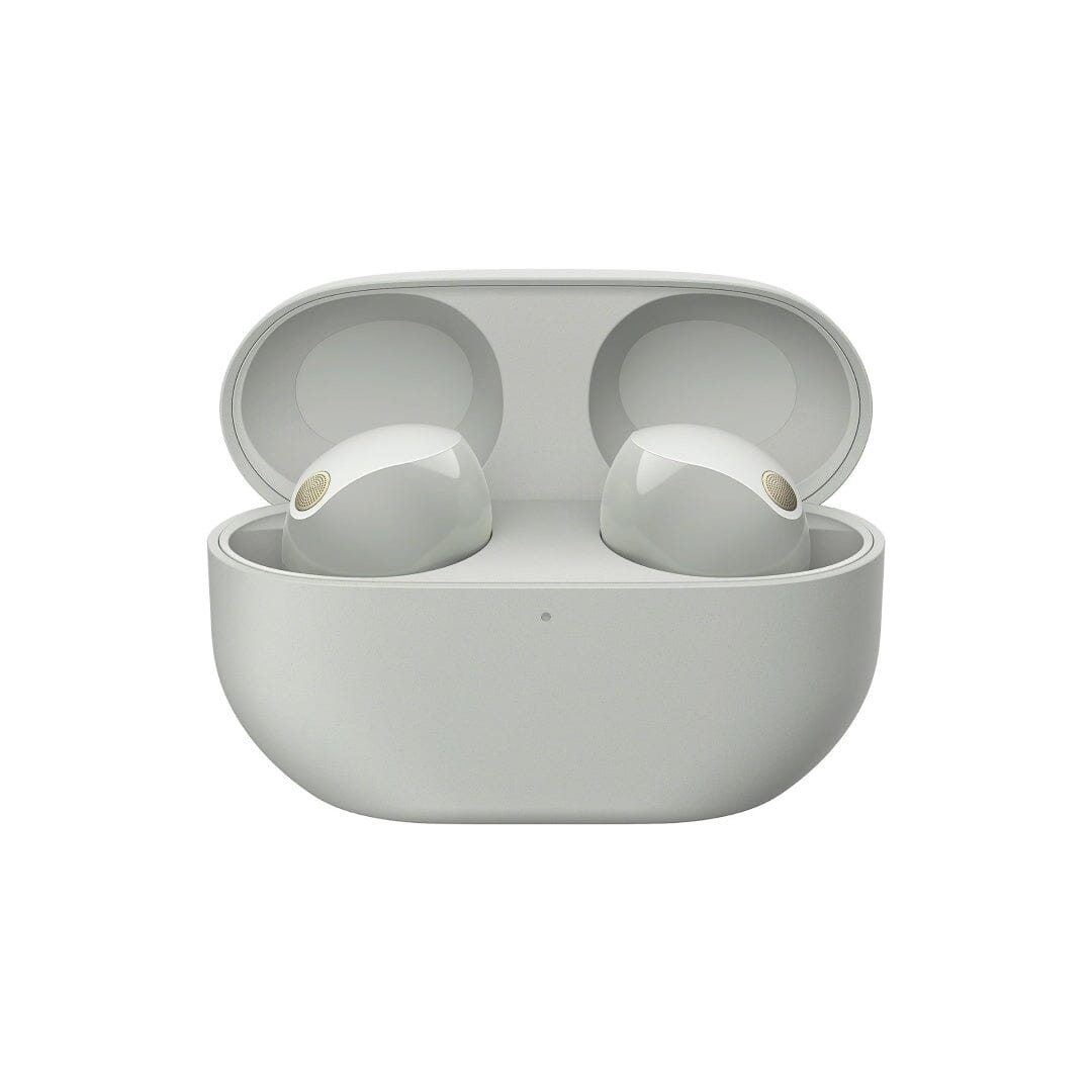 Sony WF-1000XM5 Noise Cancellation True Wireless Earbuds HiFiGo 