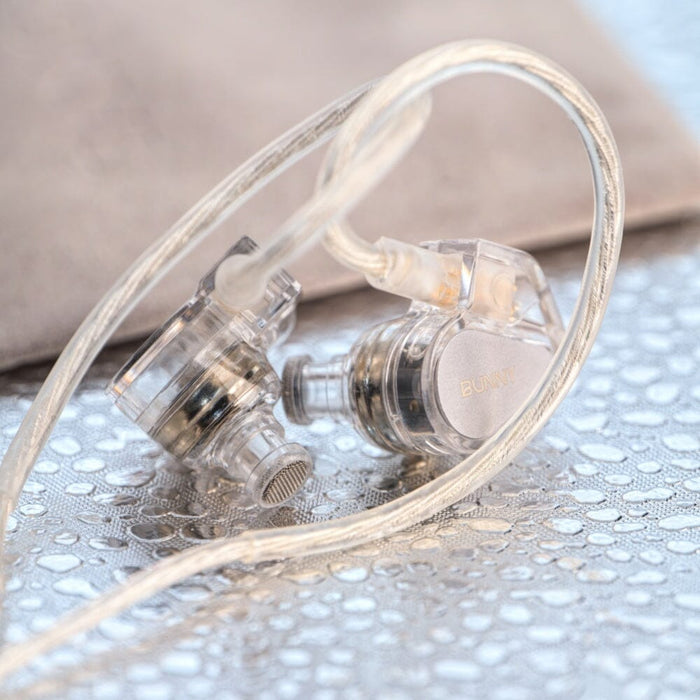 TANCHJIM Bunny Maze Single Dynamic Driver In-Ear Earphone HiFiGo 