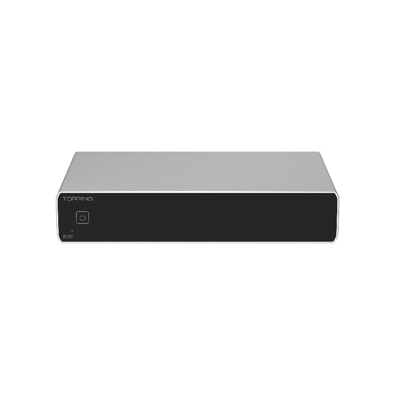 TOPPING B100 Mono Pure Power Amplifier HiFiGo B100-Silver 