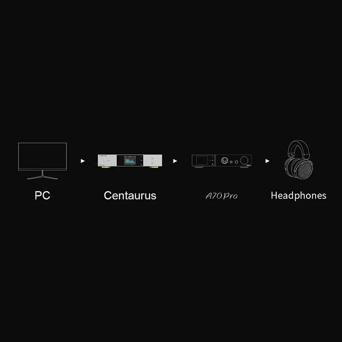 TOPPING Centaurus R2R Digital to Analog Convertor (DAC) HiFiGo 