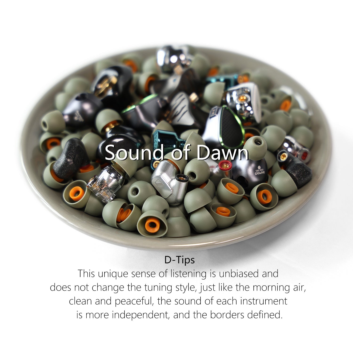 DD ddHiFi ST35 Comfortable Medical-Grade D-Tips Silicone Eartips With The Storage Box Eartips HiFiGo 