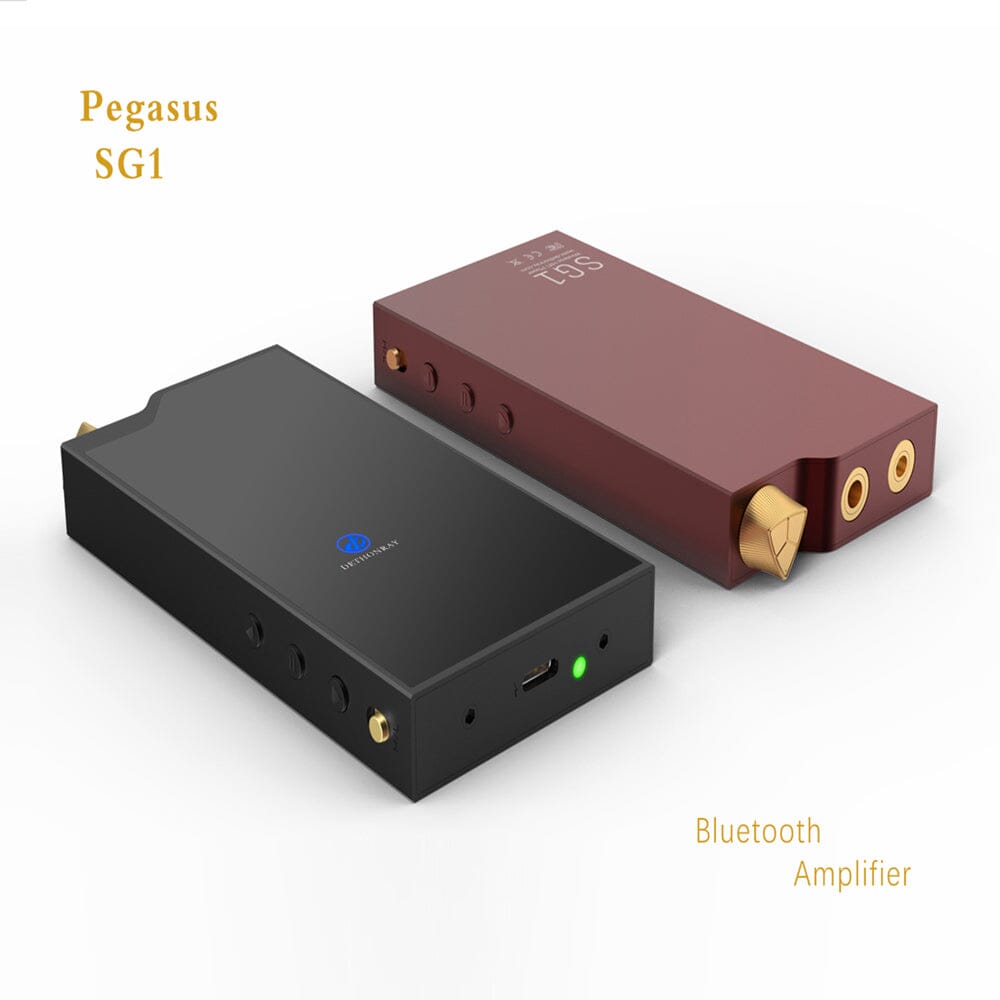 Dethonray Pegasus SG1 Bluetooth & HiFi Wireless DAC / AMP HiFiGo 