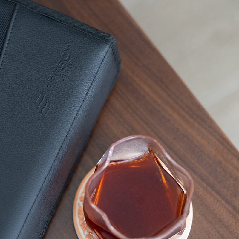 Effect Audio Chamber Carrying Case HiFiGo 