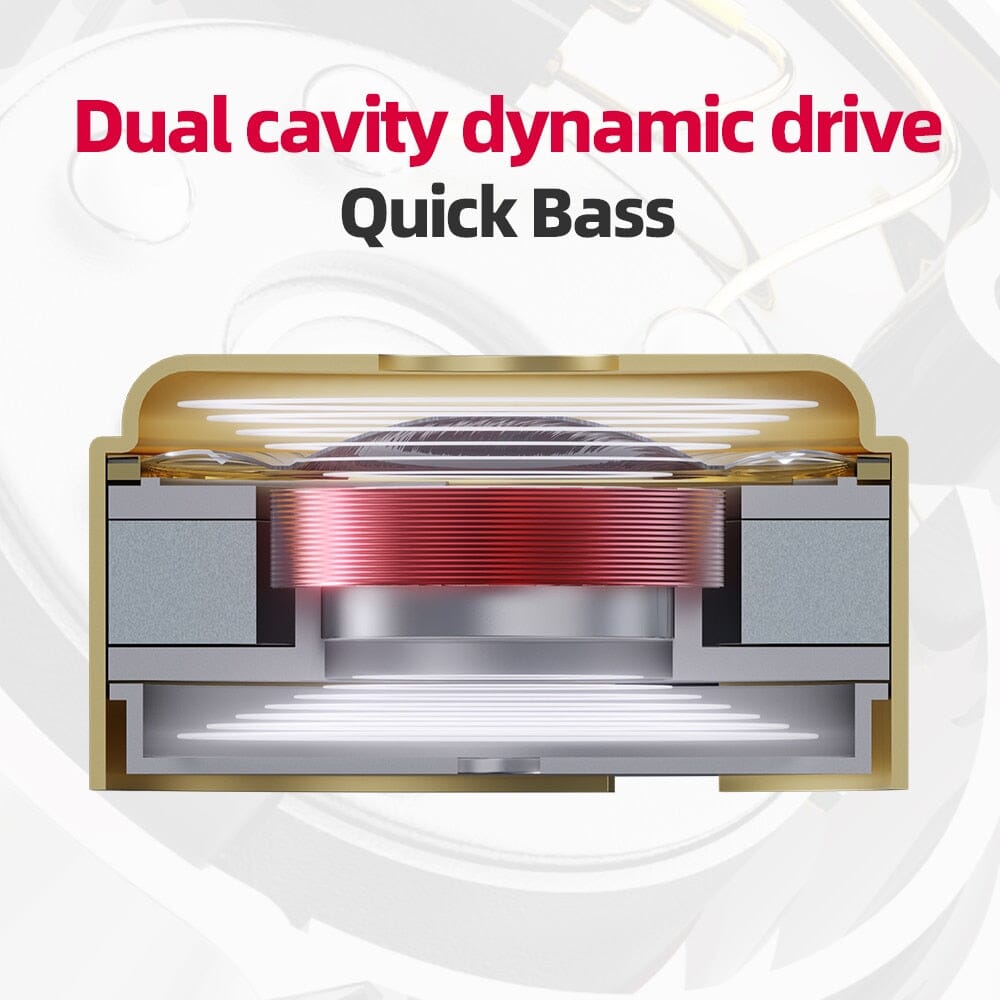 FiiO FD11 10mm Dynamic Driver In-Ear Monitors With 0.78mm Detachable Cable Earphone HiFiGo 