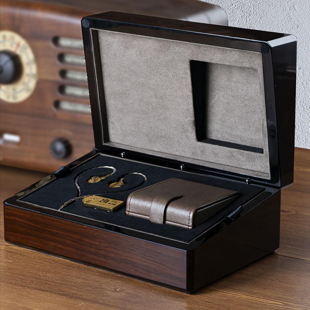 FiiO FDX 14 Anniversary Limited Pure Beryllium Diaphragm 1DD In-Ear Earphone HiFiGo 